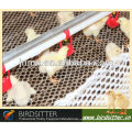 professional broiler and breeder use chicken drinking line